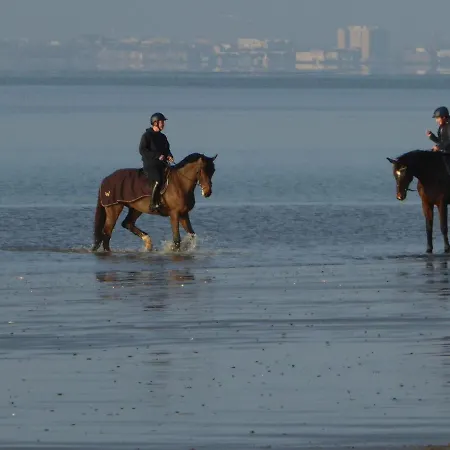 公寓 Calme Proche Avec Terrasse Sud, Parking Securise Et Equipements Complets - Fr-1-306-909