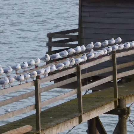 Calme Proche Avec Terrasse Sud, Parking Securise Et Equipements Complets - Fr-1-306-909 公寓 *