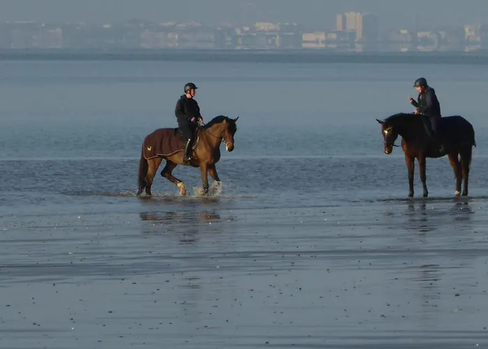 דירה Calme Proche Avec Terrasse Sud, Parking Securise Et Equipements Complets - Fr-1-306-909