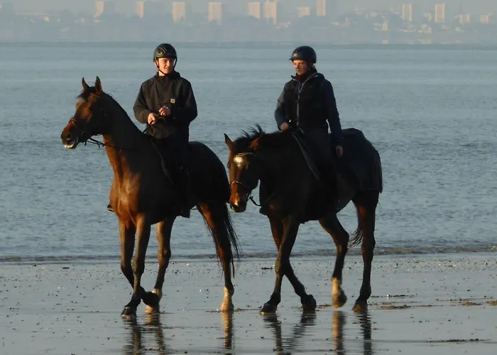 Appartement Calme Proche Avec Terrasse Sud, Parking Sécurisé Et équipements Complets - Fr-1-306-909