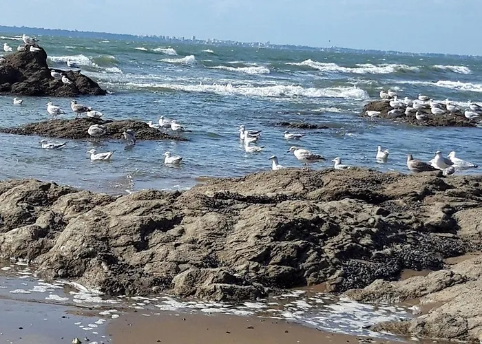 דירה Calme Proche Avec Terrasse Sud, Parking Securise Et Equipements Complets - Fr-1-306-909