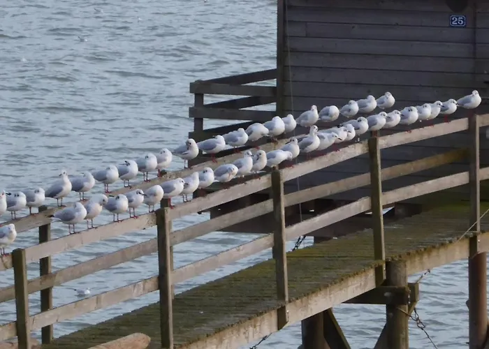 Calme Proche Avec Terrasse Sud, Parking Securise Et Equipements Complets - Fr-1-306-909 Apartman *