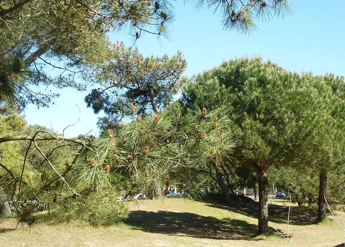 Calme Proche Avec Terrasse Sud, Parking Securise Et Equipements Complets - Fr-1-306-909 Apartman Saint-Brévin-les-Pins